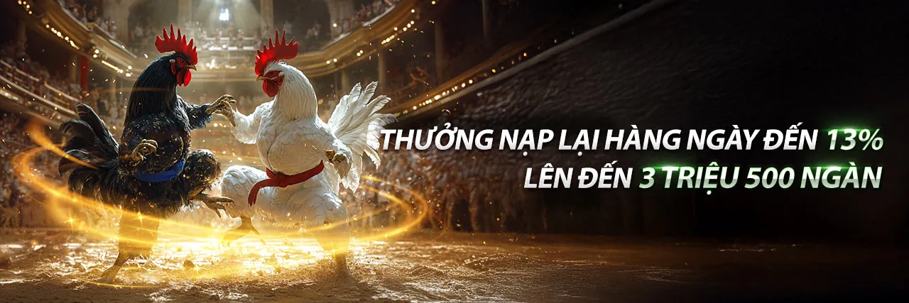 Hình ảnh chính đá gà m8win nổ hũ 2026