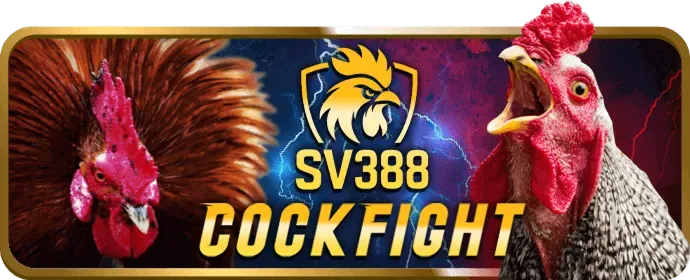 Hỗ trợ và FAQ về đá gà m8win nổ hũ